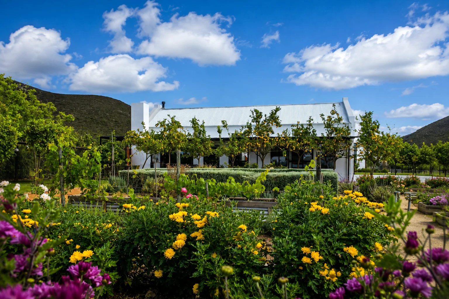 Flute Cottage beyond the colourful garden at Klawerjas