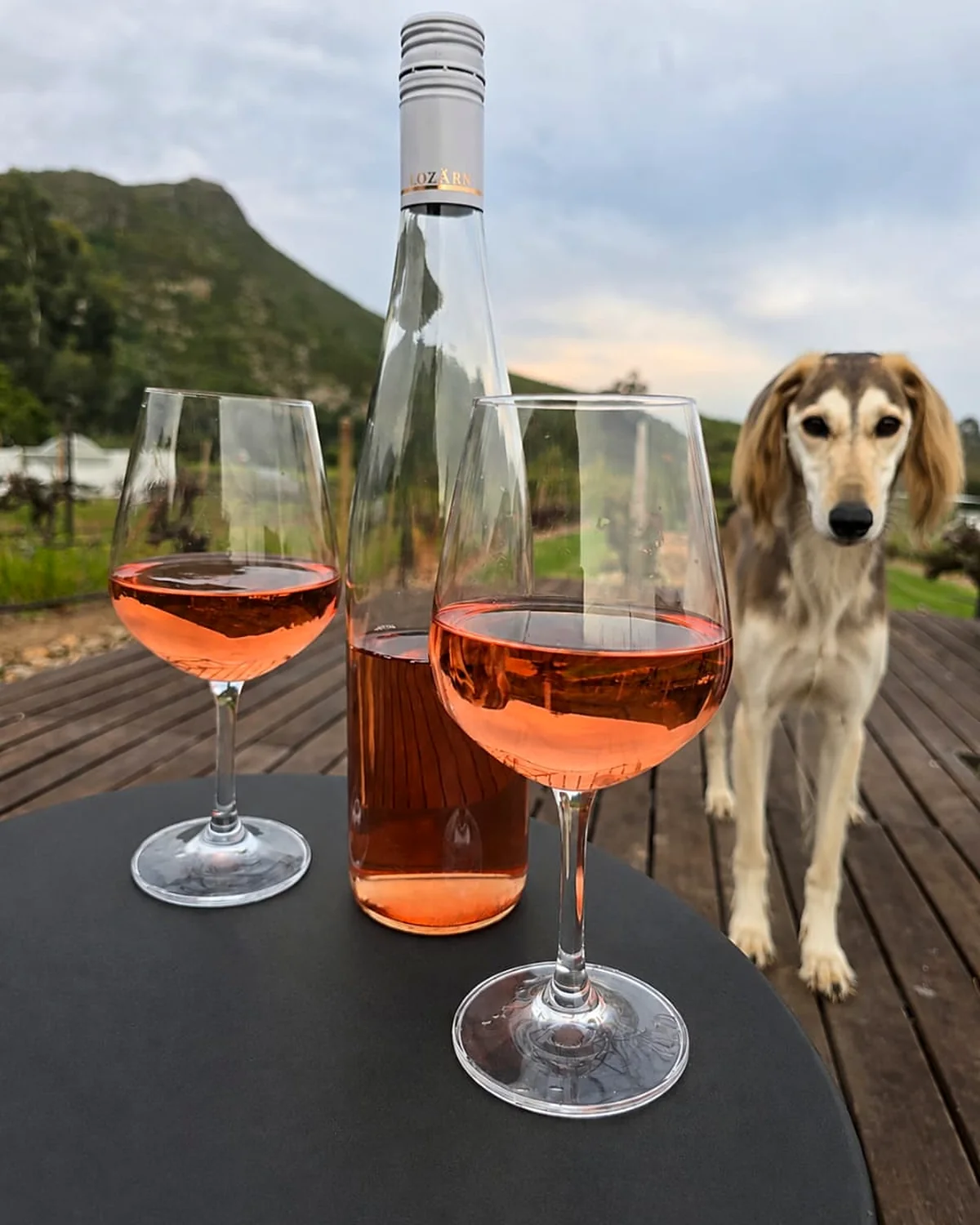 Fae beside a bottle of wine and two glasses in the Klawerjas vineyard